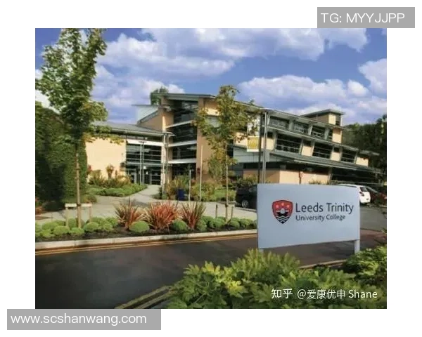 利兹市与诺丁汉市的魅力对比探讨与城市发展潜力分析