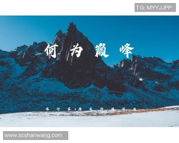 谢什科的传奇旅程：从草根到巅峰的奋斗故事与启示