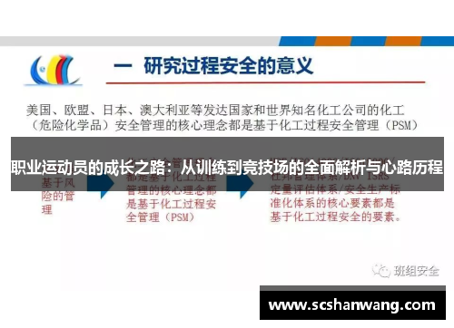 职业运动员的成长之路：从训练到竞技场的全面解析与心路历程